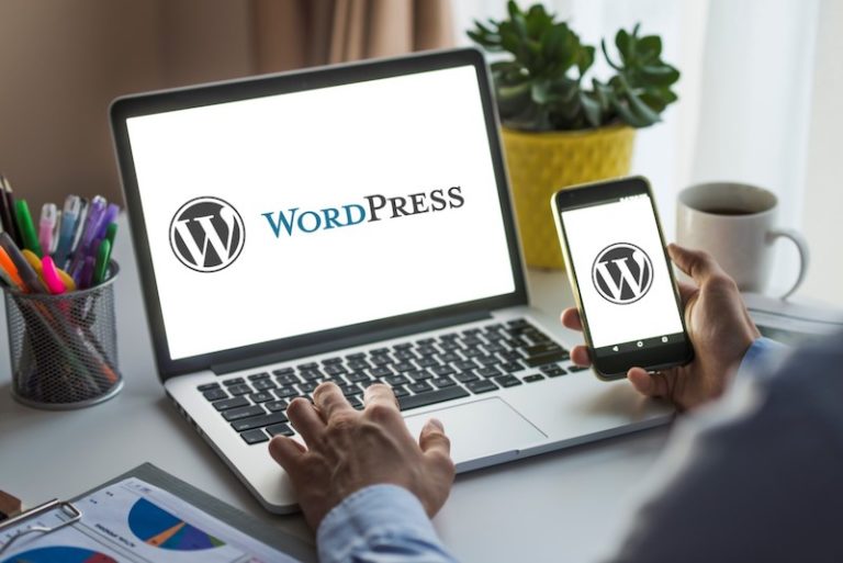 20 avril 2023 – Formation « Créer le site internet de son club avec WordPress » – Nv 1 & 2